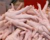 Export Chicken Paw | Chicken Feet Suppliers | Poultry Feet Exporters | Chicken Feets Traders | Processed Chicken Paw Buyers | Frozen Poultry Paw Wholesalers | Low Price Freeze Chicken Paw | Best Buy Chicken Paw | Buy Chicken Paw | Import Chicken Paw | Chi