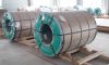 Sell 304 stainless steel coil