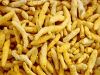 Sell Fresh/Dried Turmeric Finger/Powder