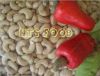 Sell Cashew Nuts