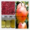 Sell Pomegranate Seed Oil