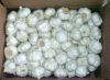 Sell jinxiang pure white garlic