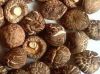 Sell Shiitake Mushroom Extract