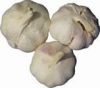 SELL:Chinese fresh and cold storage garlic