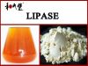 sell  lipase  and hope we can  do businenss  with  you