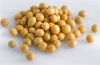 Sell Soybean Dietary Fiber