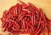 Sell dried red chilli