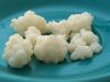 Organic Milk and Water Kefir grains