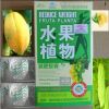 Sell reduce weight fruta planta slimming capsule