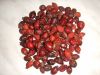 Sell dried rosehips