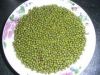 Sell Chinese New Crop High Quality Green Mung Bean For Sprouting