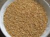 Sell Chinese New Crop High Quality Non GMO Millet In Husk