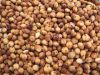 Sell Chinese New Crop High Quality Non GMO Red Sorghum