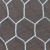 Sell hexagonal wire mesh