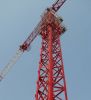 Sell Tower crane QTZ40(4208/4708/4808/4810)