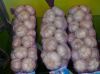 Sell Normal White Garlic 10kg/ctn