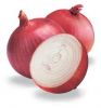 Sell Fresh Onion