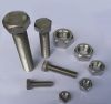 Sell 316L A4-80 1.4404 DIN933 Hex Bolt INOX Fasteners Stainless Steel