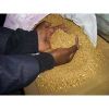 Sell Alluvial Gold Dust