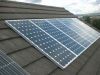 Sell solar panel 155W-195W mono