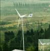 1000W small wind turbine with CE