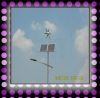 50W Solar&Wind Hybrid Street Light , Long life, CE Certification