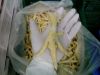  Export Chicken Paw | Chicken Feet Suppliers | Poultry Feet Exporters | Chicken Feets Traders | Processed Chicken Paw Buyers | Frozen Poultry Paw Wholesalers | Low Price Freeze Chicken Paw | Best Buy Chicken Paw | Buy Chicken Paw | Import Chicken Paw | Ch