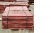 We sell copper cathode