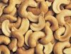 grade A Cashew nut for export