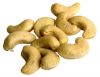 cashew nut available