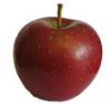 Sell afresh apple fruit