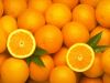 Export of Moroccan citrus
