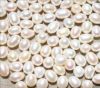 Natural Fresh-Water Pearl bead