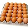 Fresh Chicken eggs of Small, Medium, Large size