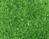 Sell 11000 Dtex PE monofil artificial grass for soccer