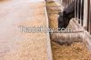 All types of Animal Feeds