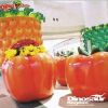 artificial fruit for square centre and Christmas decoration