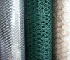 hexagonal wire mesh