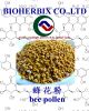 Sell bee pollen