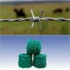 Sell pvc-coating iron barbed wire