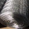 Sell galvanized welded wire mesh roll