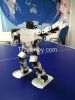 Feetech 17 DOF humanoid robot ready to play for education DIY