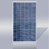 Sell polycrystalline solar panel 230w