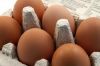 Sell Fresh Table Eggs, Frozen Broiler Chicken, spices and frozen Tuna