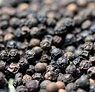 Sell Vietnam black pepper for sell