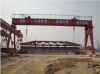 Sell Goliath Gantry Crane