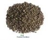 Sell   Diammonium Phosphate