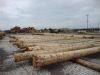 Pine logs available