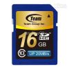 Sell Free Shipping Wholesale Team SD SDHC Class 10 Memory Card