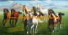 Sell horses oil painting, 8 horses painting